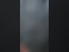 Φράχτης τροφοδοσίας αλόγων