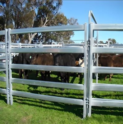 High Security Hot Dipped Galvanized Outdoor Livestock Farm Cattle Panel Yard Fence