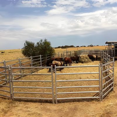 5 Rails Galvanized Oval Tube Metal Cattle Sheep Fence Panel 