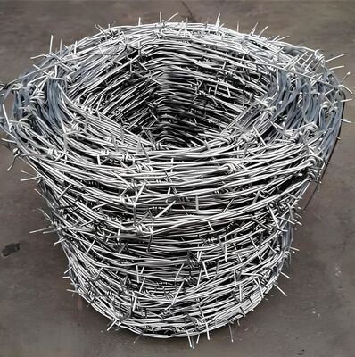 Electric Galvanized Barbed Wire 500m Roll with 12-16 Gauge for High Security Fencing